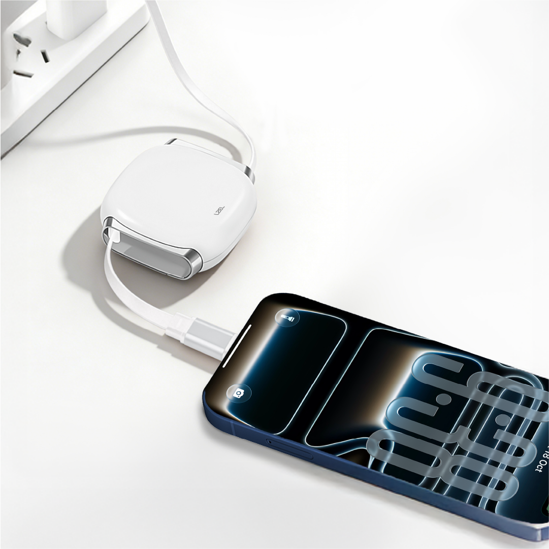LZEL Fluxlink 100 Usb-C 100W Fast Charging Cable With Data Transfer - White