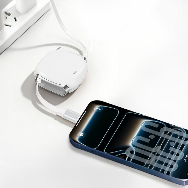 LZEL Fluxlink 100 Usb-C 100W Fast Charging Cable With Data Transfer - White