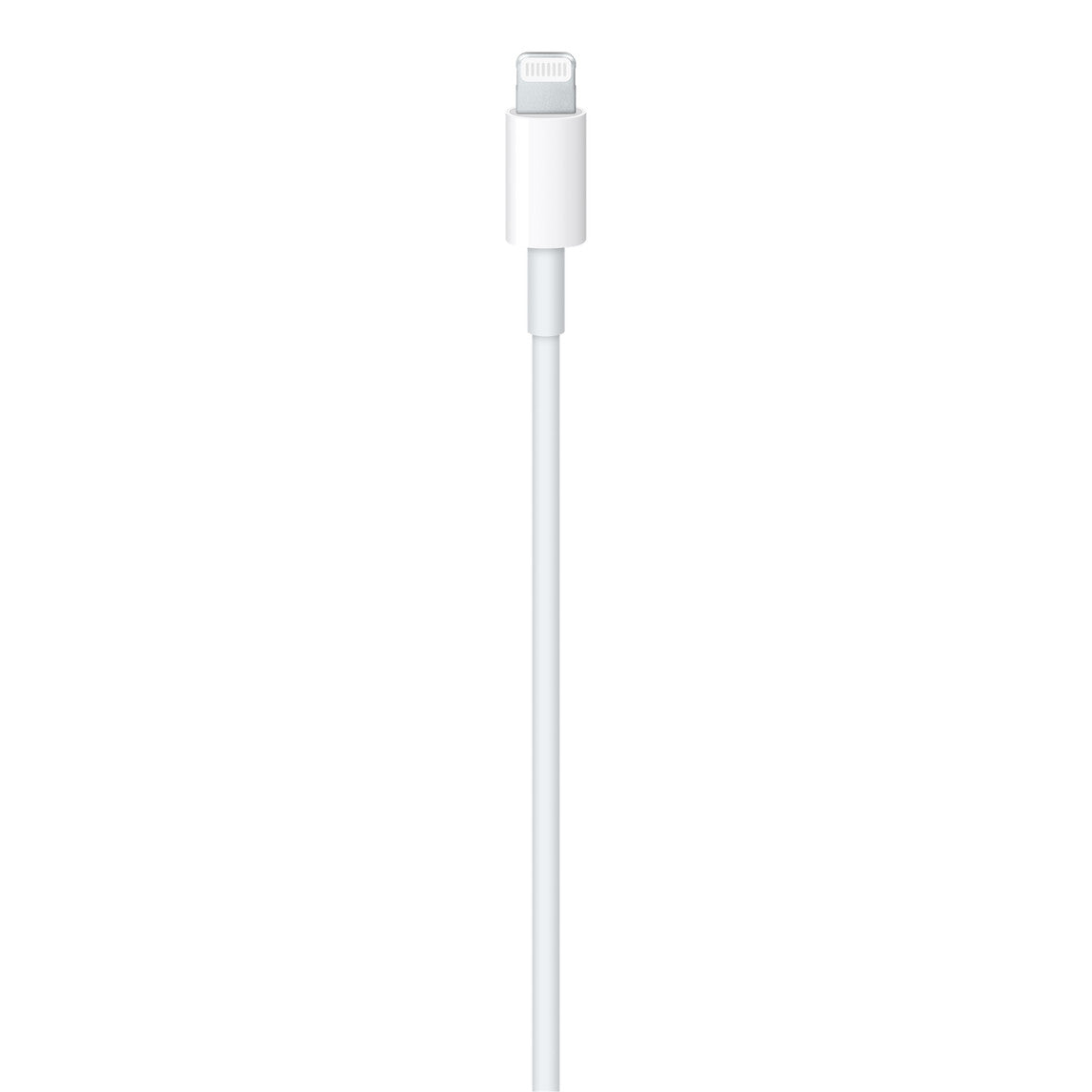 AP-USB C TO LIGHTNING CABLE 2M
