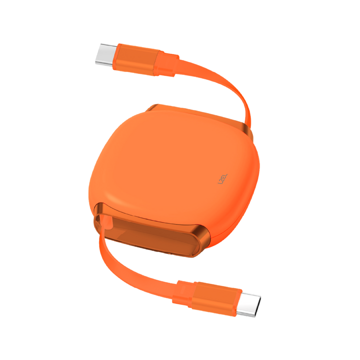 LZEL Fluxlink 100 Usb-C 100W Fast Charging Cable With Data Transfer - Orange