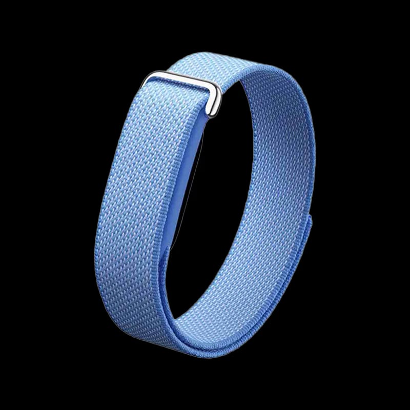 Google Fitbit Air Loop Strap