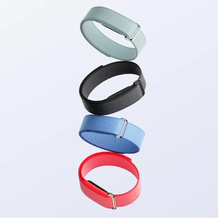 Google Fitbit Air Loop Strap