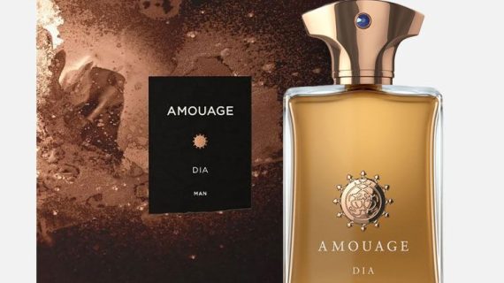 AMOUAGE DIA EDP 100 ML POUR HOMME