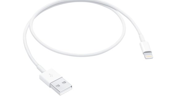Apple Lightning to USB Cable (0.5 m) ME291