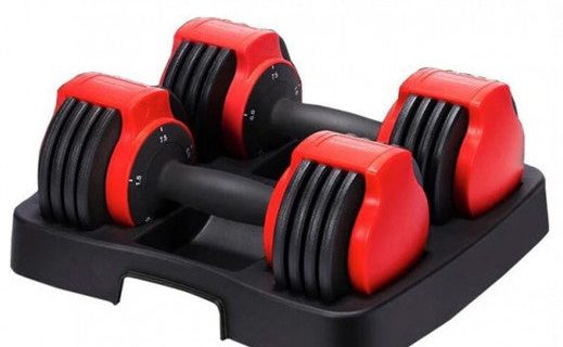 KingSmith 24 KG Adjustable Dumbbell 3 in 1