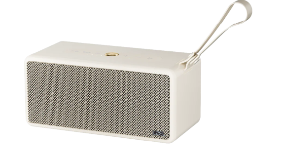LZEL Aquilasonus Xs Premium Wireless Speaker With Deep Bass Bluetooth 5.4 - Fast Charging - 4000mah Battery | Beige
